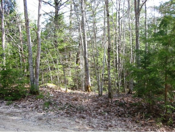 21 A Lovejoy Sands Road Meredith, NH 03253 - Photo 1 of 1