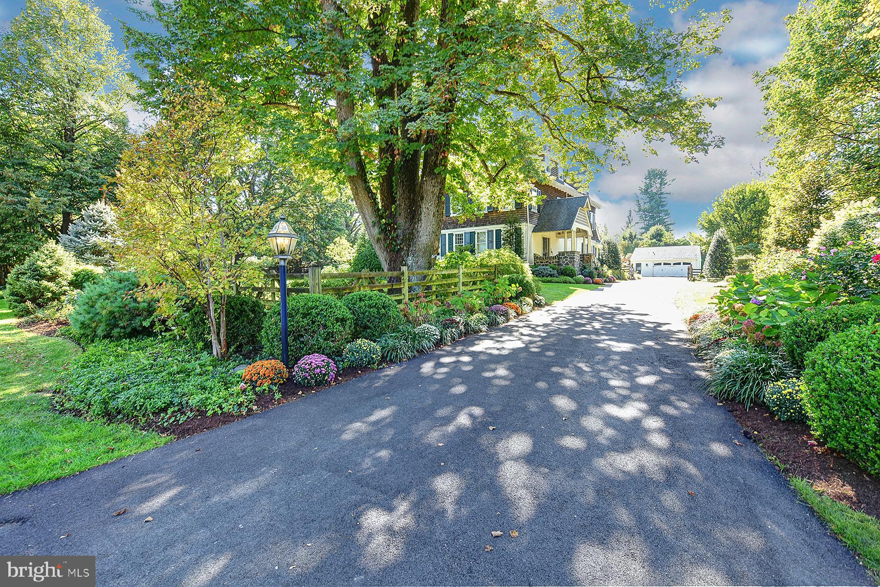 a view of a garden with a tree