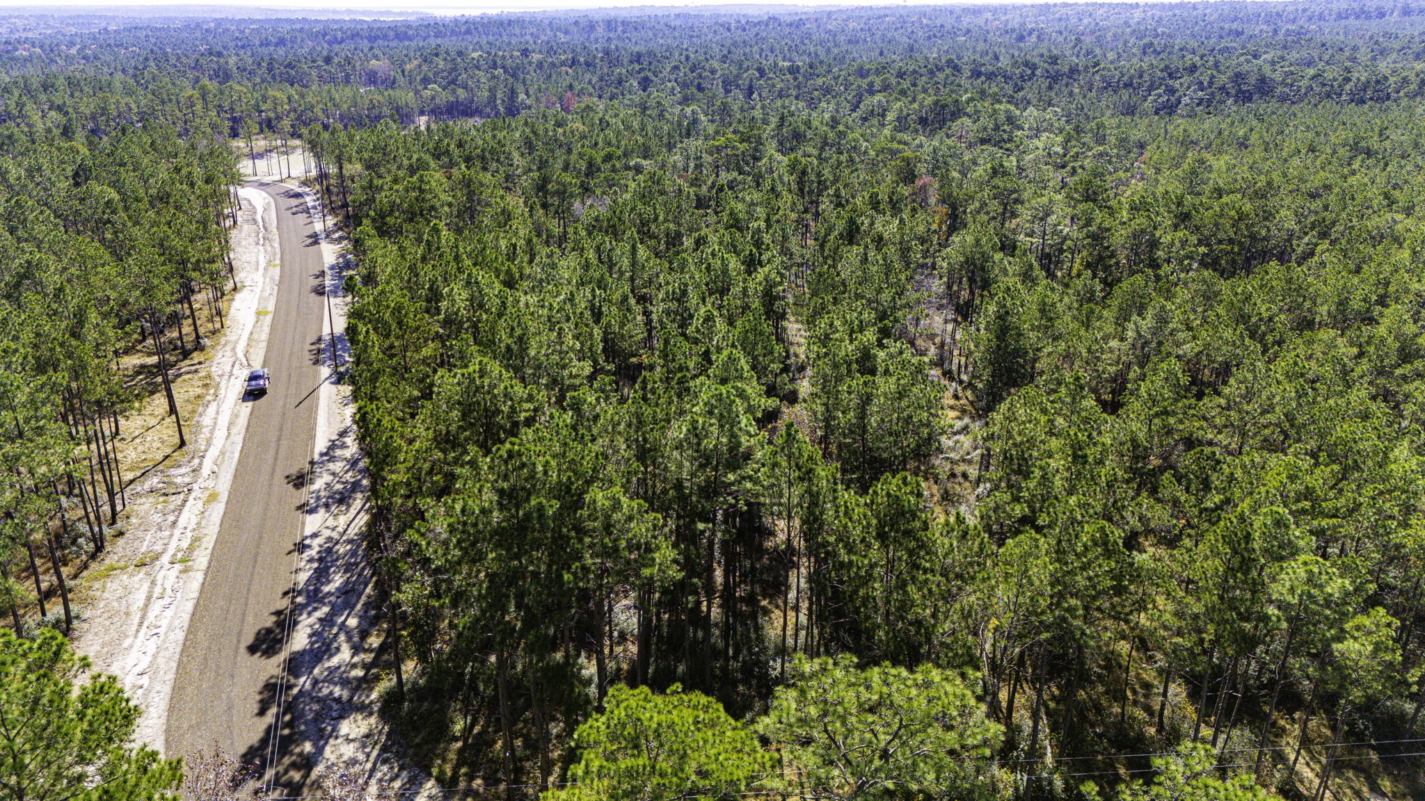 28 King Ranch Road South Onalaska, TX 77360 - Photo 10 of 12 an aerial view of residential house with outdoor space and trees all around