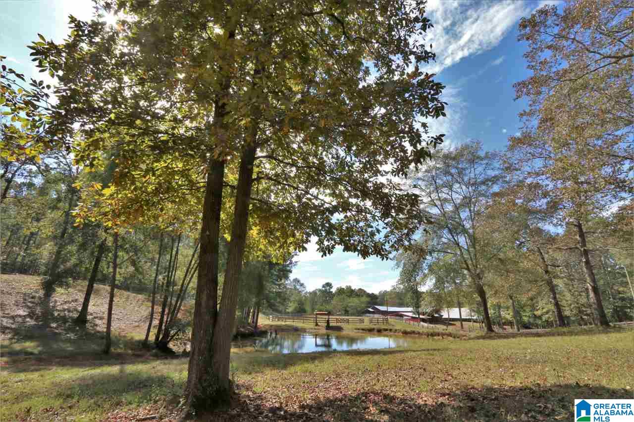 8460 Wolf Creek Road South Pell City, AL 35128 - Photo 23 of 49