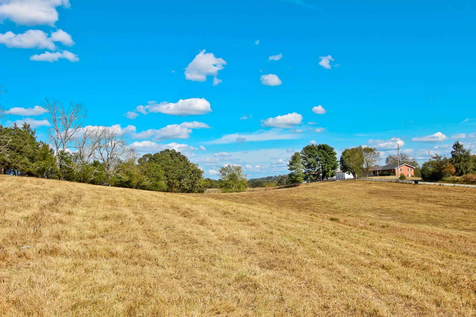 1 Timber Ridge Road Greeneville, TN 37743 - Photo 11 of 29 IMG_3477