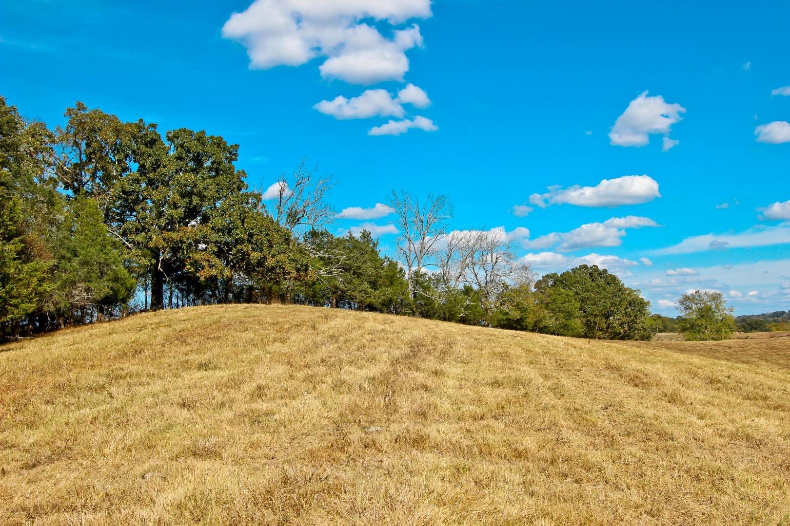 1 Timber Ridge Road Greeneville, TN 37743 - Photo 12 of 29 IMG_3478