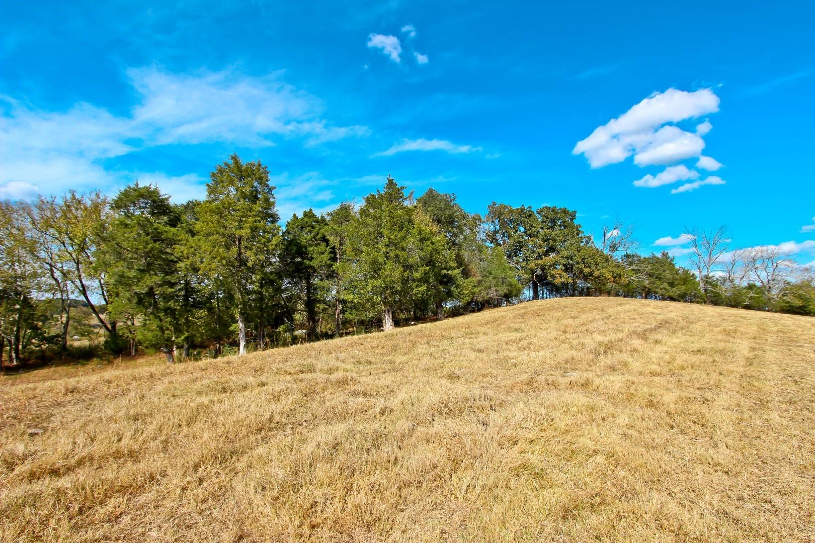 1 Timber Ridge Road Greeneville, TN 37743 - Photo 25 of 29 IMG_3481