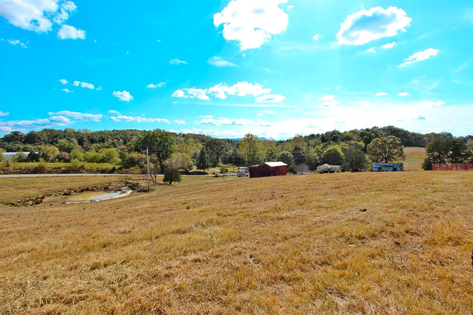 1 Timber Ridge Road Greeneville, TN 37743 - Photo 26 of 29 IMG_3482