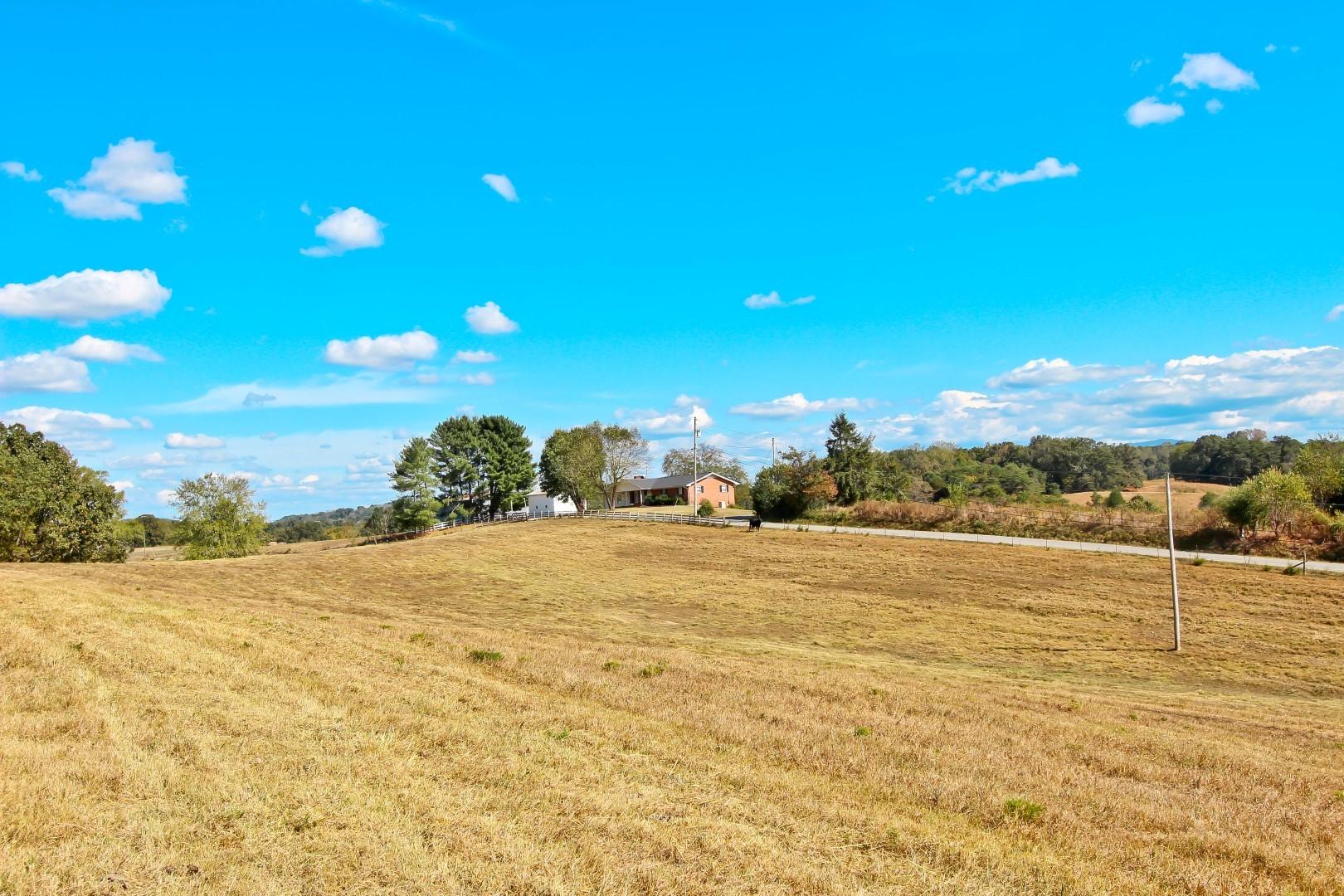 1 Timber Ridge Road Greeneville, TN 37743 - Photo 27 of 29 IMG_3484