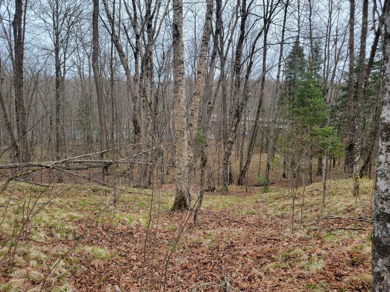7213 Smith Road Winter, WI 54896 - Photo 15 of 27 Gallery Image 15