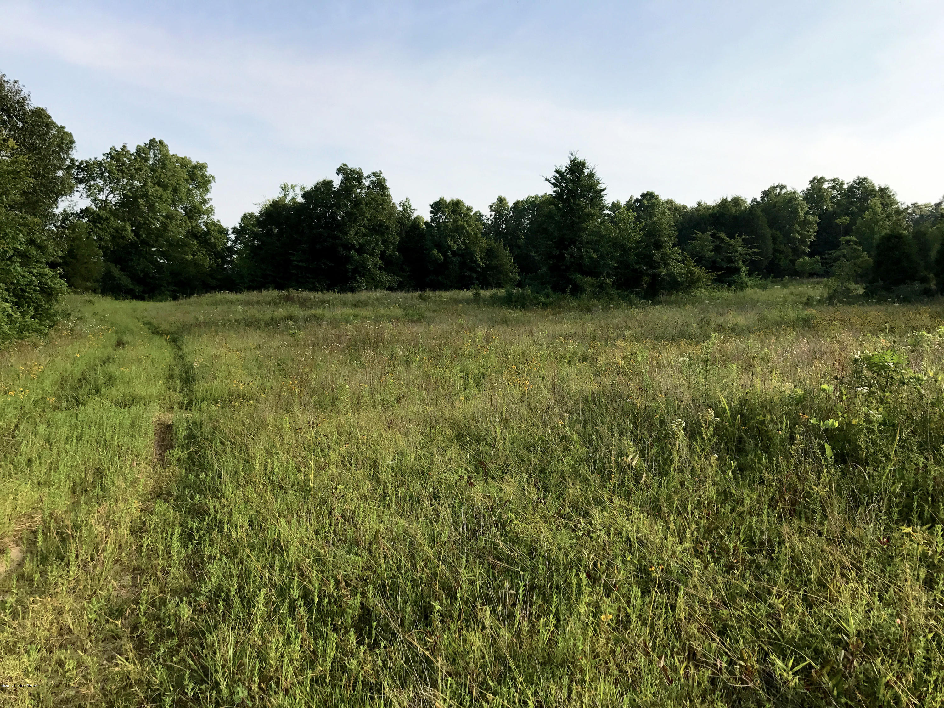 289 Hooper Barton Road Leitchfield, KY 42754 - Photo 26 of 29 3j