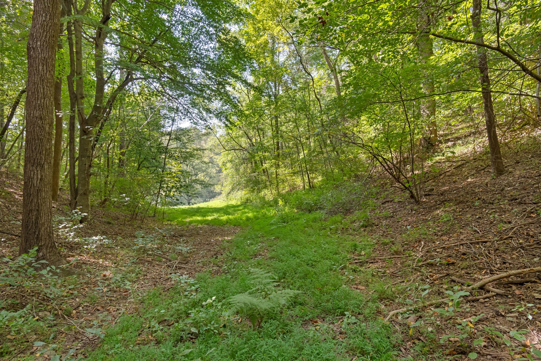384 Big Spring Hollow Road Pulaski, TN 38478 - Photo 33 of 54 Gallery Image 33
