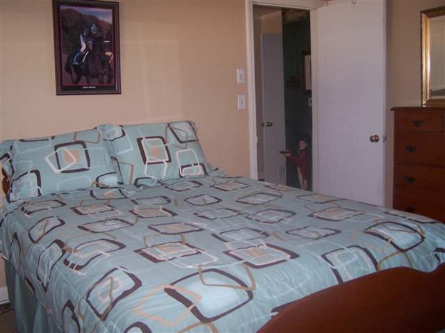 401 Garrison Road Simpsonville, SC 29681 - Photo 3 of 20 Gallery Image 3