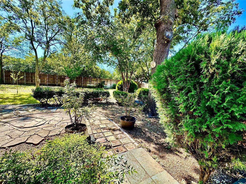 6632 Winding Rose Trail Dallas, TX 75252 - Photo 19 of 23 a view of swimming pool with lawn chairs and plants