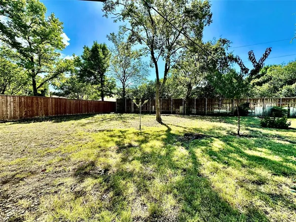 a view of a backyard with large trees