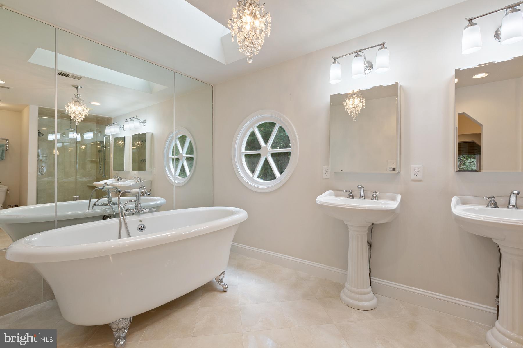 14504 Cutstone Way Silver Spring, MD 20905 - Photo 24 of 52 Beautiful aerated clawfoot tub with skylight