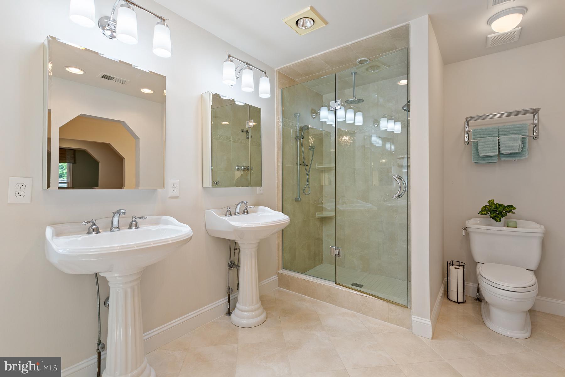 14504 Cutstone Way Silver Spring, MD 20905 - Photo 25 of 52 Oversized shower with rainfall & 3 shower heads