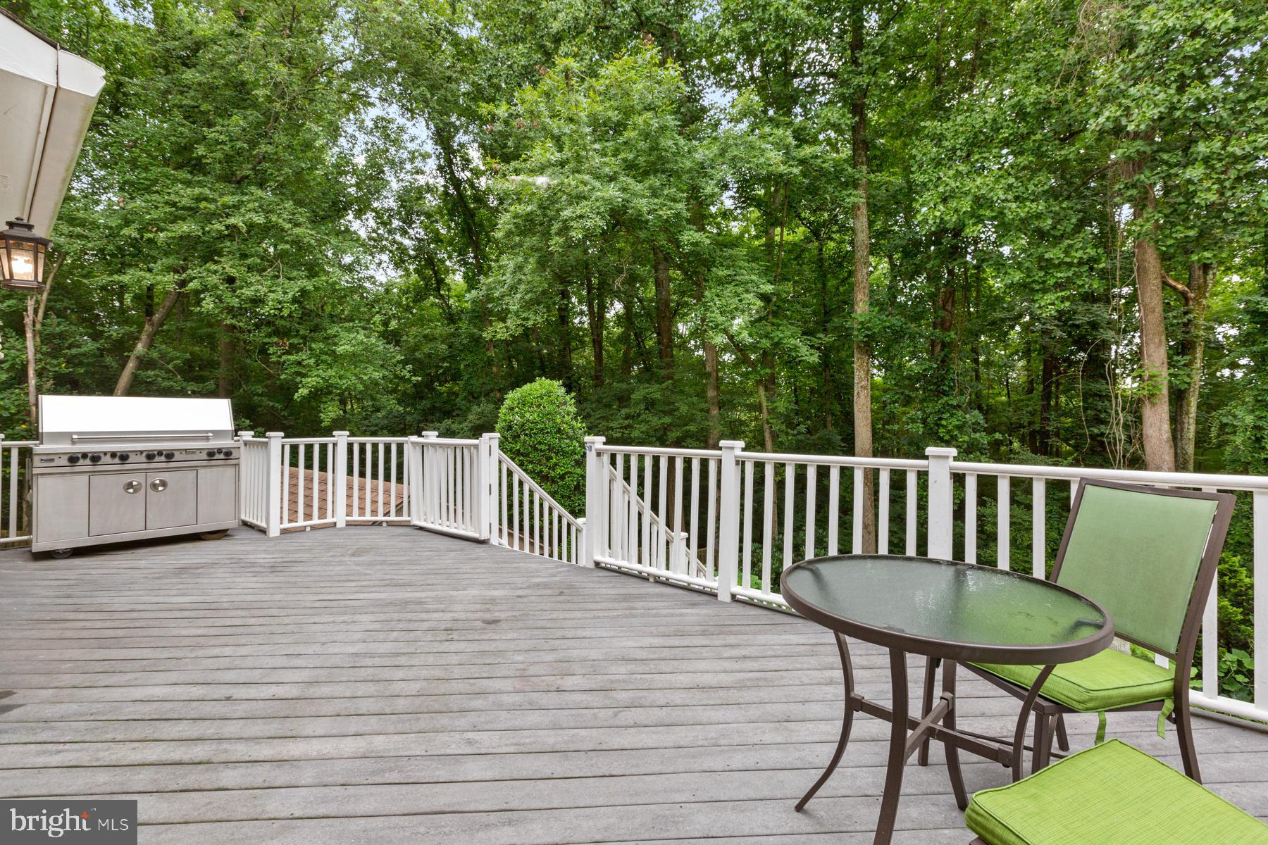 14504 Cutstone Way Silver Spring, MD 20905 - Photo 42 of 52 Viking gas grill conveys