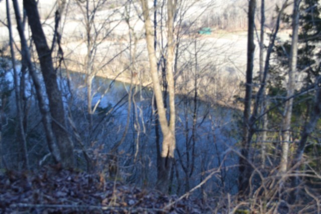a view of mountain view with lots of trees