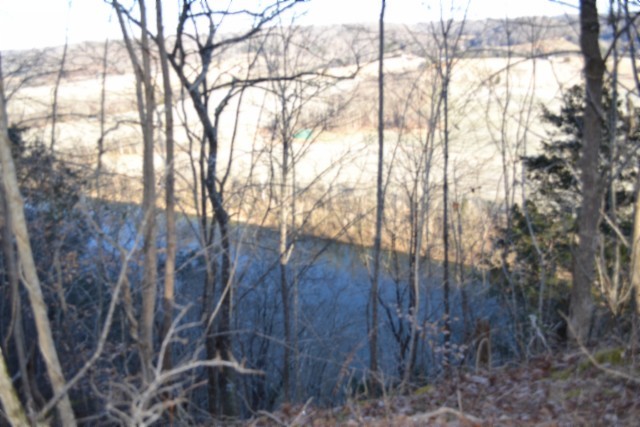 0 Cabin Hl Road Celina, TN 38551 - Photo 14 of 36