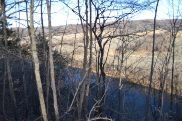 0 Cabin Hl Road Celina, TN 38551 - Photo 15 of 36 a view of a forest that has a tree