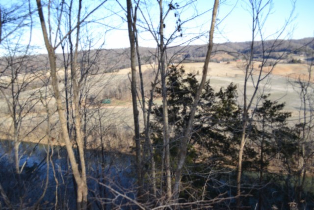 0 Cabin Hl Road Celina, TN 38551 - Photo 18 of 36 a view of a forest