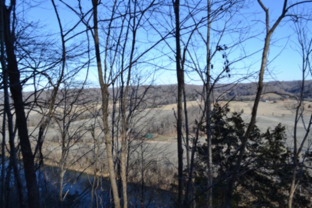 0 Cabin Hl Road Celina, TN 38551 - Photo 20 of 36 a view of a forest covered with trees