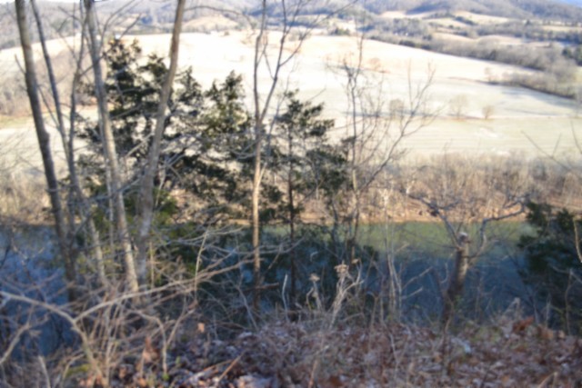 0 Cabin Hl Road Celina, TN 38551 - Photo 21 of 36 a view of forest