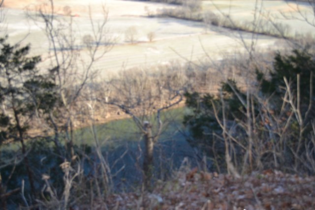 0 Cabin Hl Road Celina, TN 38551 - Photo 23 of 36 a view of a forest