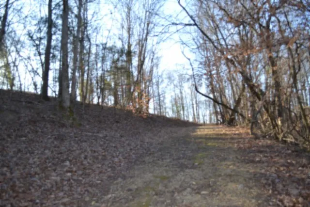 $119,900 | 0 Cabin Hl Road, Celina, TN 38551