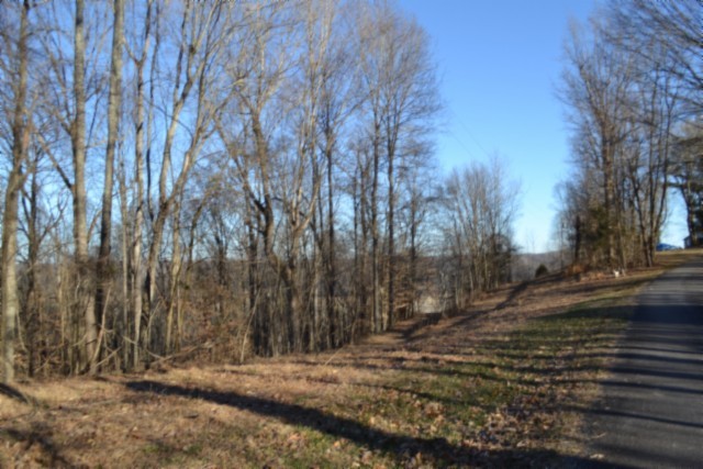 0 Cabin Hl Road Celina, TN 38551 - Photo 4 of 36