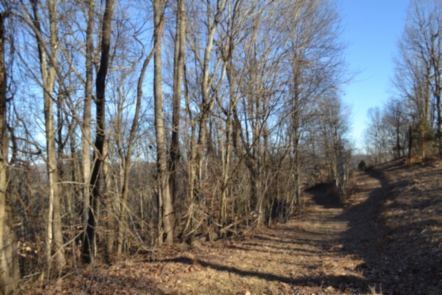 0 Cabin Hl Road Celina, TN 38551 - Photo 5 of 36