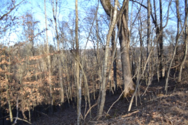 0 Cabin Hl Road Celina, TN 38551 - Photo 8 of 36