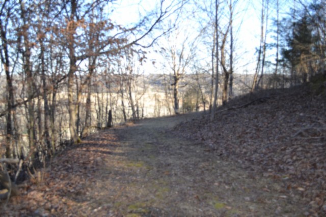 0 Cabin Hl Road Celina, TN 38551 - Photo 10 of 36 a view of dirt yard with a large tree