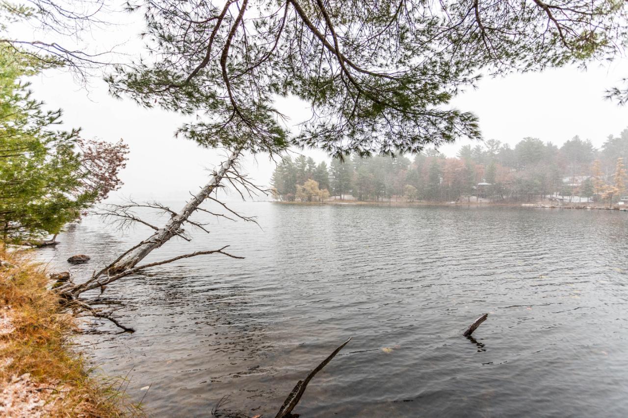 On Lambert Road Minocqua, WI 54548 - Photo 8 of 17 Gallery Image 8