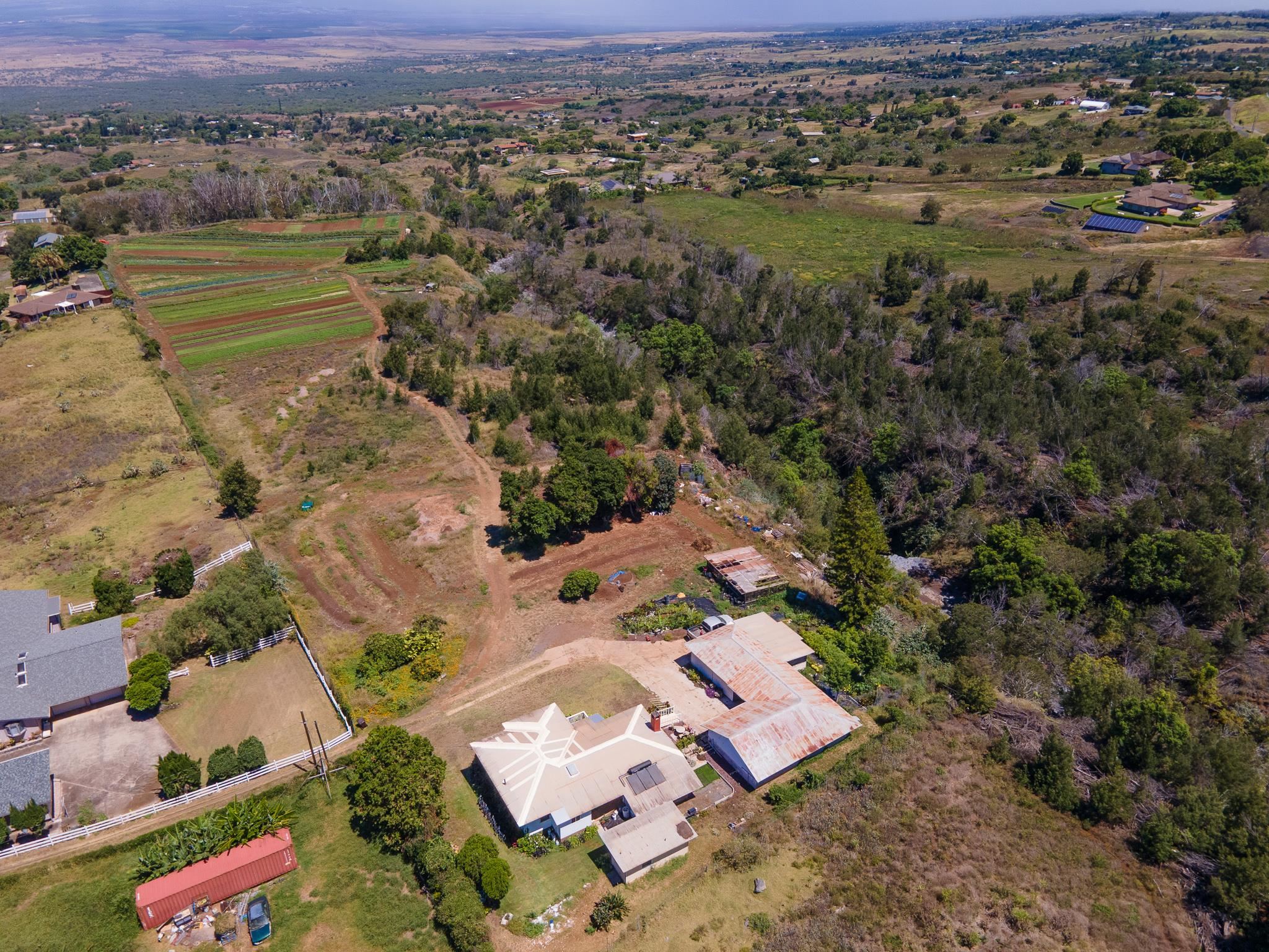 302 Naalae Road Kula, HI 96790 - Photo 4 of 35 Gallery Image 4