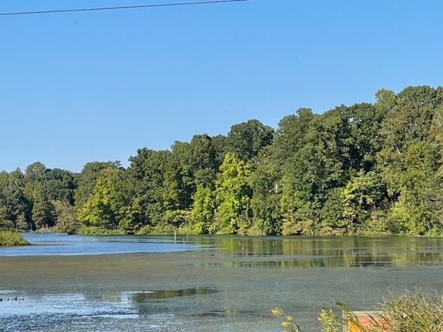 0 Slough Road Drummonds, TN 38023 - Photo 1 of 6 a view of lake