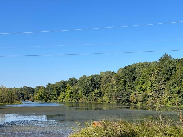 0 Slough Road Drummonds, TN 38023 - Photo 3 of 6 a view of lake