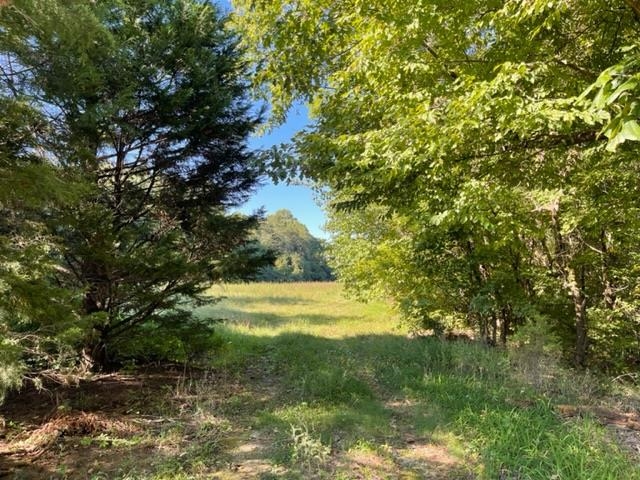 0 Slough Road Drummonds, TN 38023 - Photo 4 of 6 a view of a trees with a yard