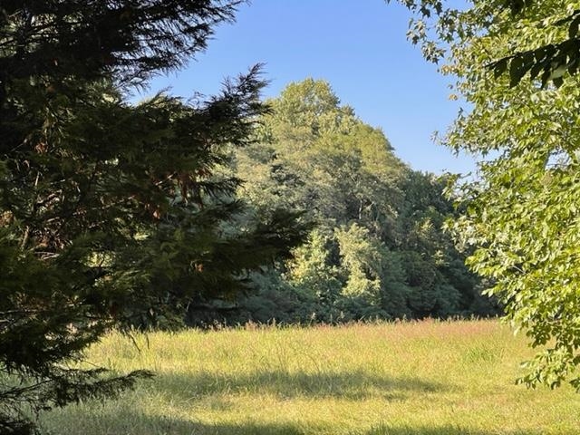 0 Slough Road Drummonds, TN 38023 - Photo 5 of 6