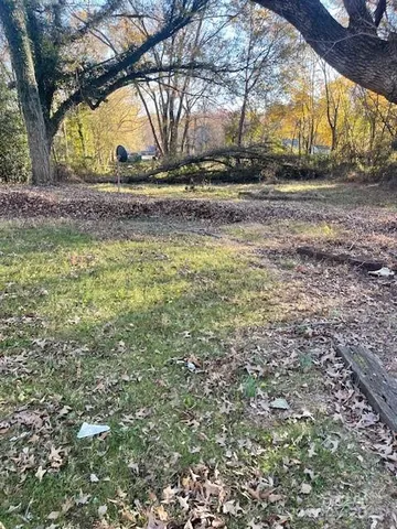 a view of yard with large tree