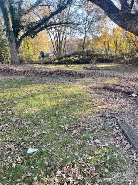 1831 13th Avenue Southwest Hickory, NC 28602 - Photo 9 of 9 a view of yard with large tree