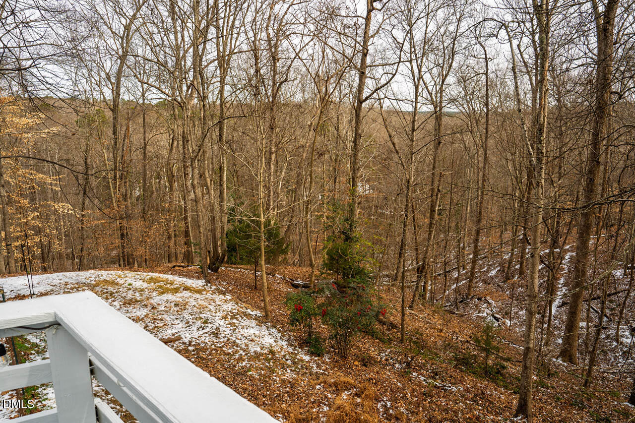 31 Mt Bolus Road Chapel Hill, NC 27514 - Photo 68 of 70
