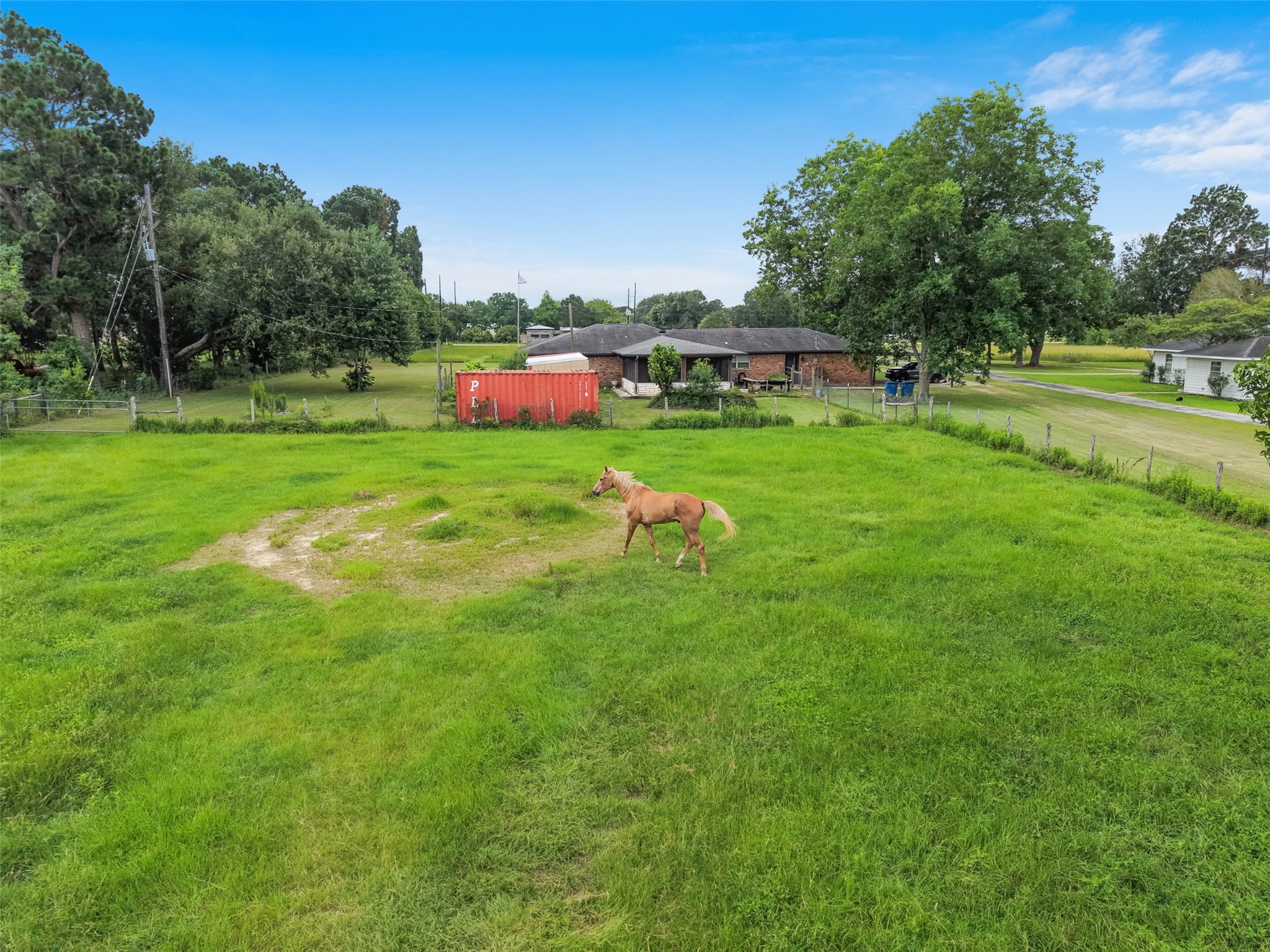 34366 Owens Road Hempstead, TX 77445 - Photo 38 of 46 Expansive open grassy area with room for horses, livestock, or recreation.