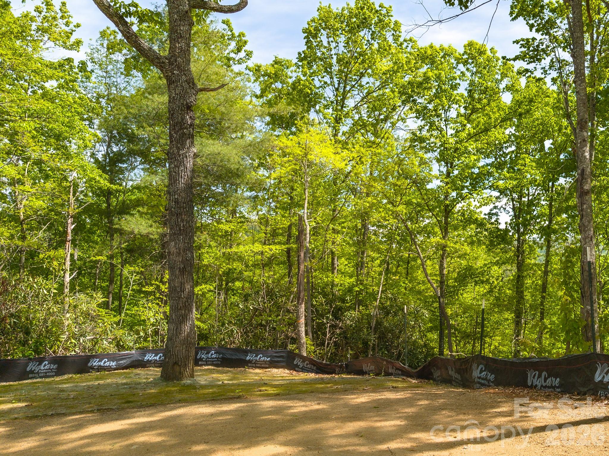 10.1-acres On Old Fort Road Fairview, NC 28730 - Photo 12 of 28 a view of a yard with a trees