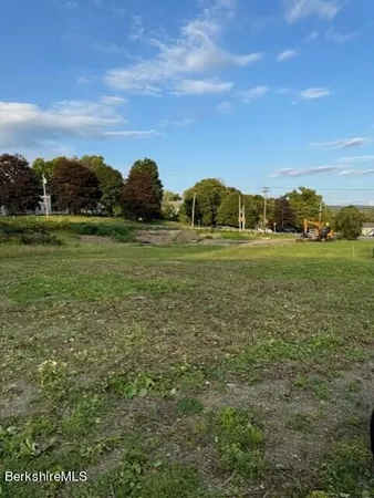 a view of a grassy field with an trees