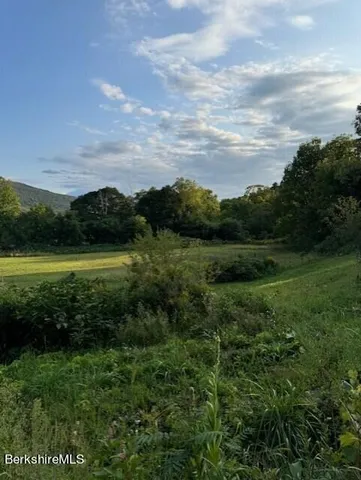 a view of a lake with houses in the back