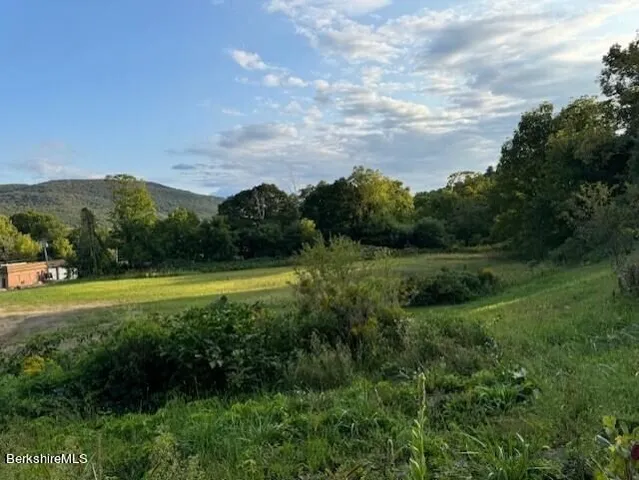 a view of a lush green outdoor space with a lake view