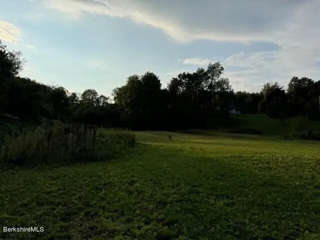 a view of outdoor space and yard