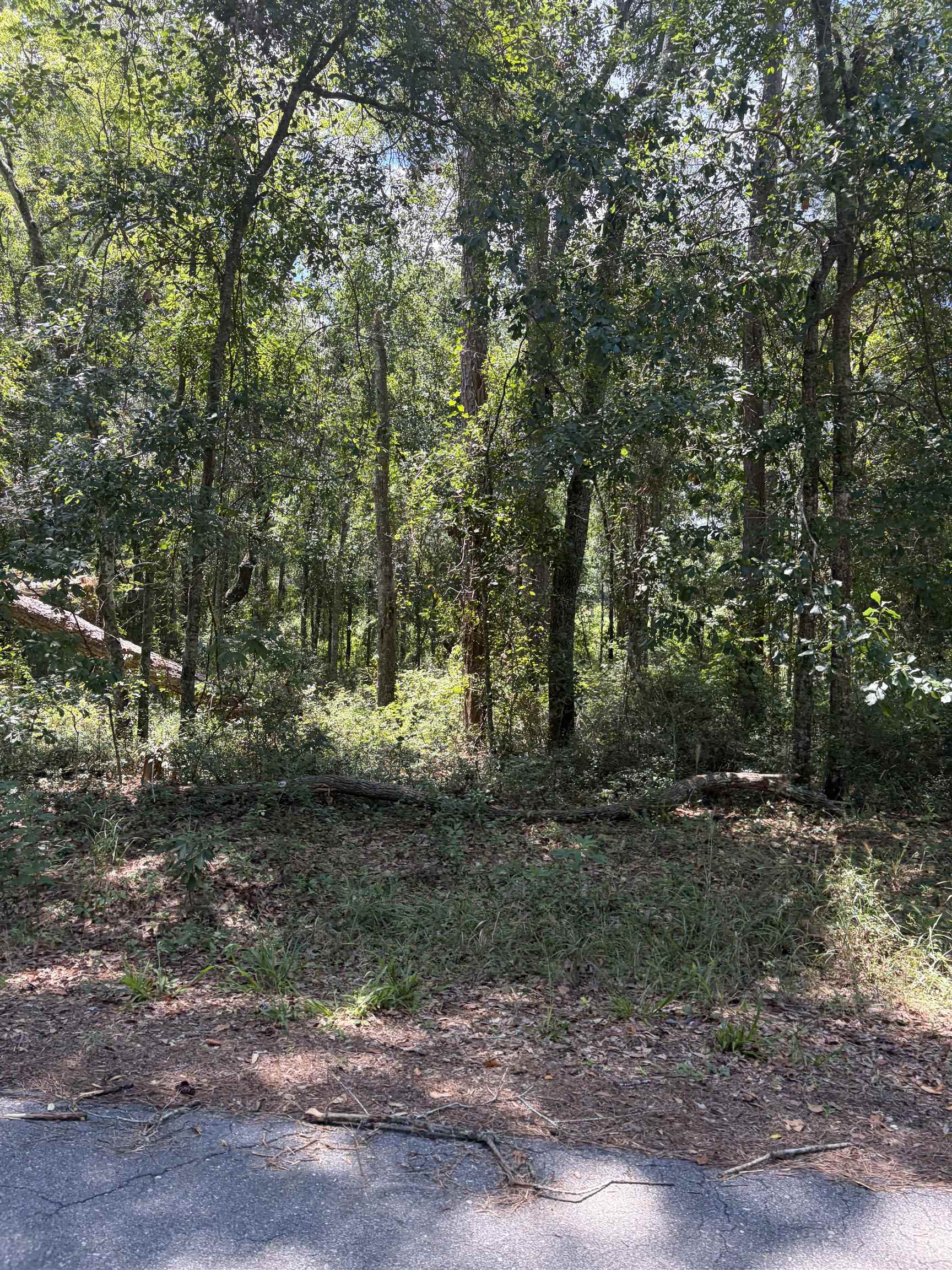 76 Barnes Road Monticello, FL 32344 - Photo 3 of 3 Gallery Image 3