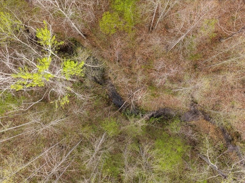 Cutbanks Road Pamplin, VA 23958 - Photo 40 of 44 Gallery Image 40
