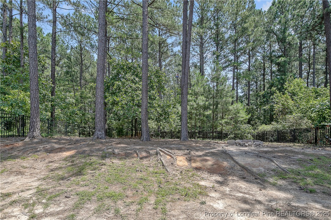 716 Micahs Way North Spring Lake, NC 28390 - Photo 48 of 50 a view of outdoor space with trees
