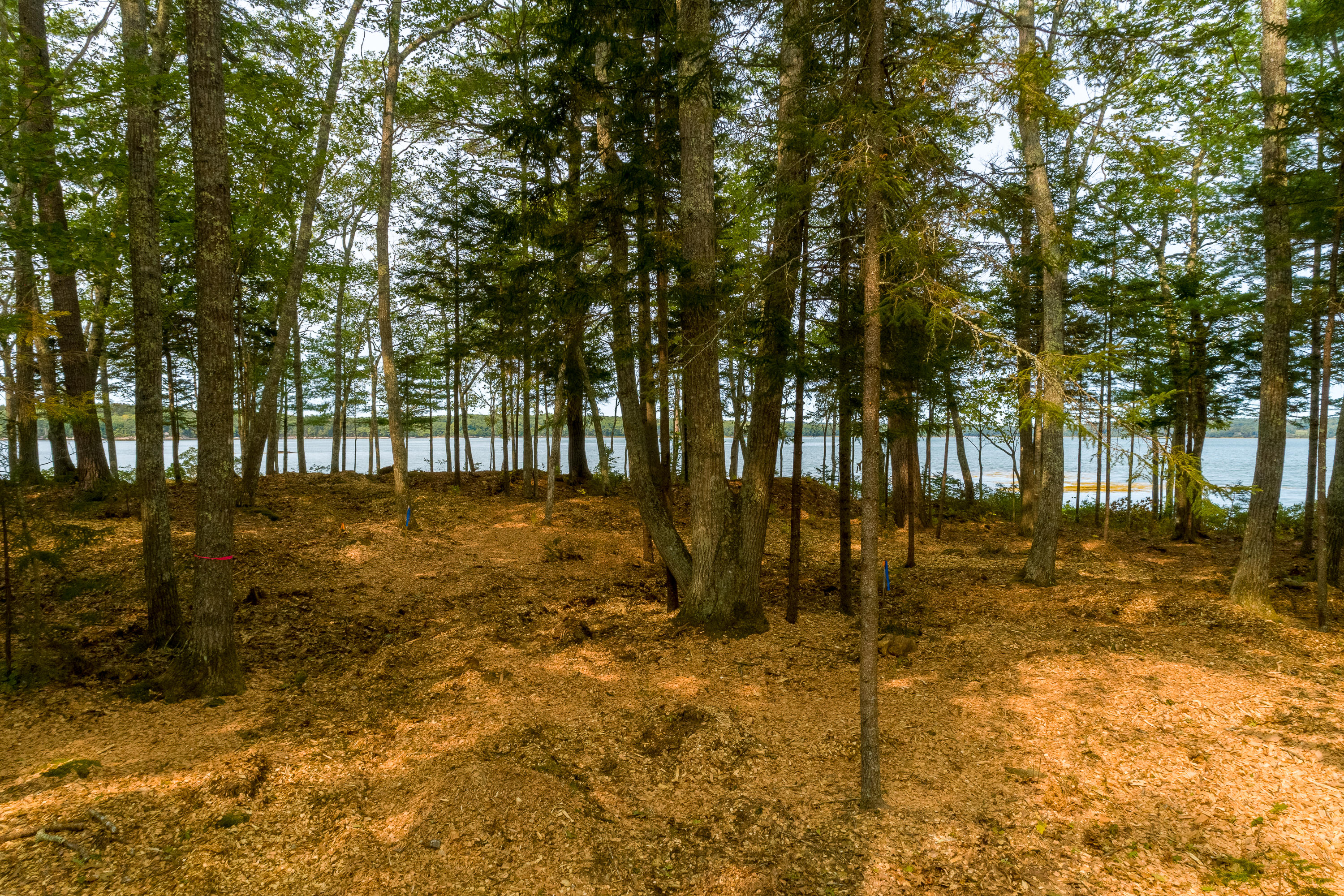91 Ice Pond Road, Unit 2B Waldoboro, ME 04572 - Photo 11 of 19 (56)_Land Lots 1-2C, Ice Pond Rd. Waldbo