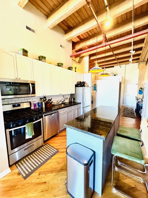 1733 West Irving Park Road, Unit 304 Chicago, IL 60613 - Photo 8 of 13 Gallery Image 8